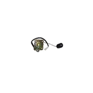 Sensor De Combustível Gw12